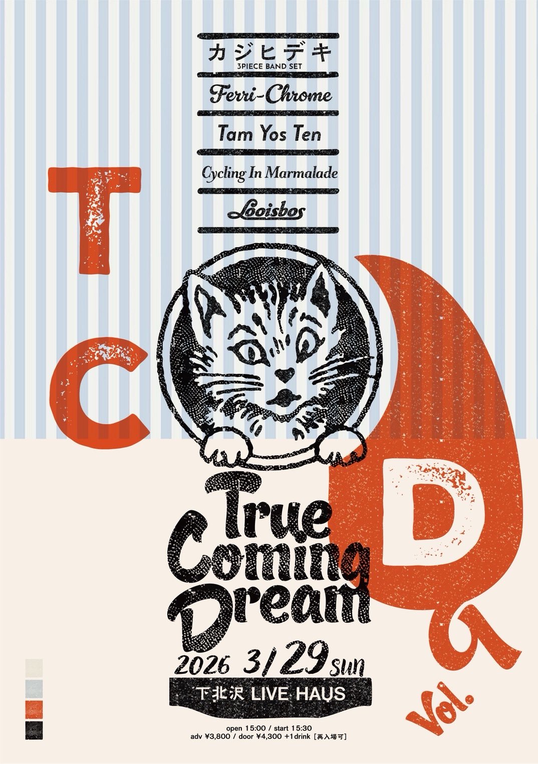 True Coming Dream Vol.9 Flyer
