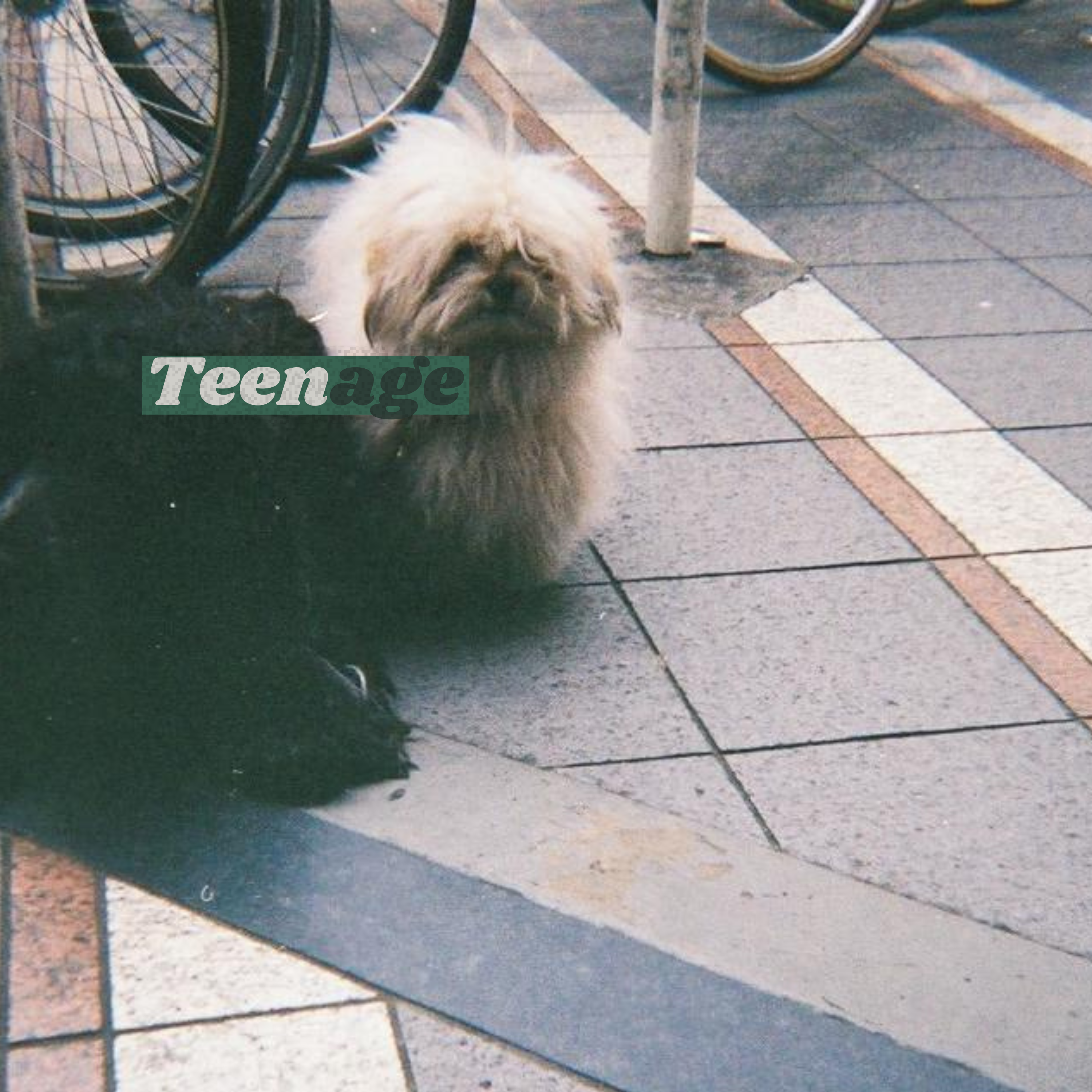 Teenage